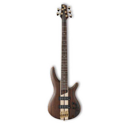 قیمت خرید فروش گیتار باس Ibanez SR1805 NTF